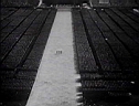 17-Totalitarian-NS_Rally_11.jpg