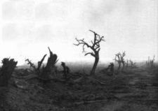 WWI_Nature.2.jpg